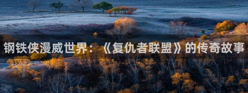 羞羞漫画同居上下铺：钢铁侠漫威世界：《复仇者联盟》的传奇故事